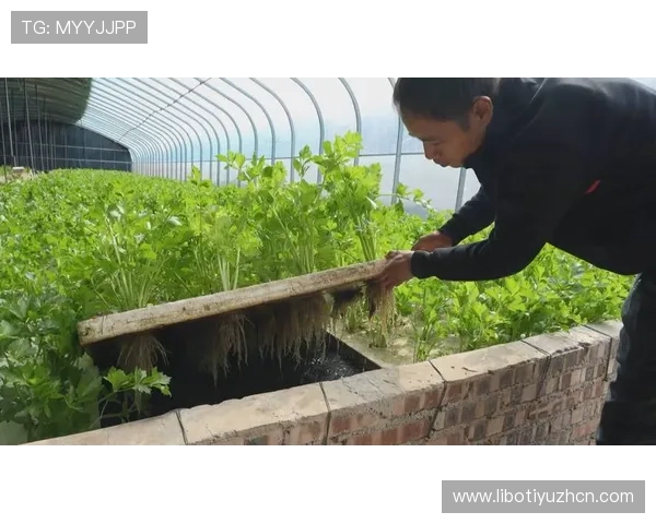 华体会棋牌积极响应国家政策推动绿色健康娱乐模式深受用户喜爱 华体会棋牌积极响应国家政策推动绿色健康娱乐模式深受用户喜爱