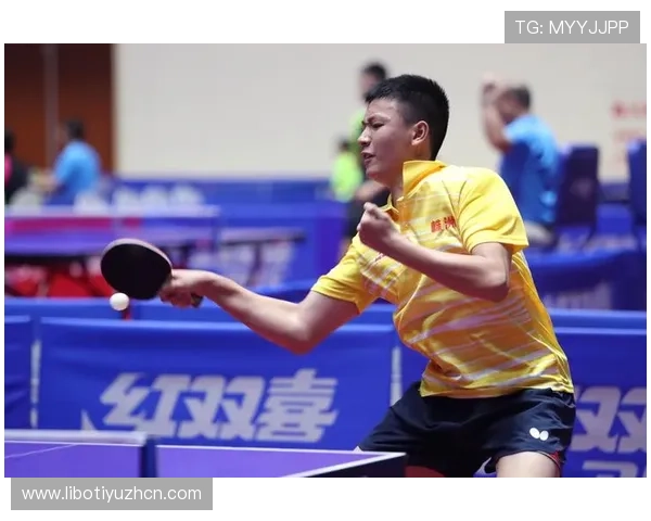 探索波球体育的赛事推送机制，确保用户不错过任何重要体育瞬间