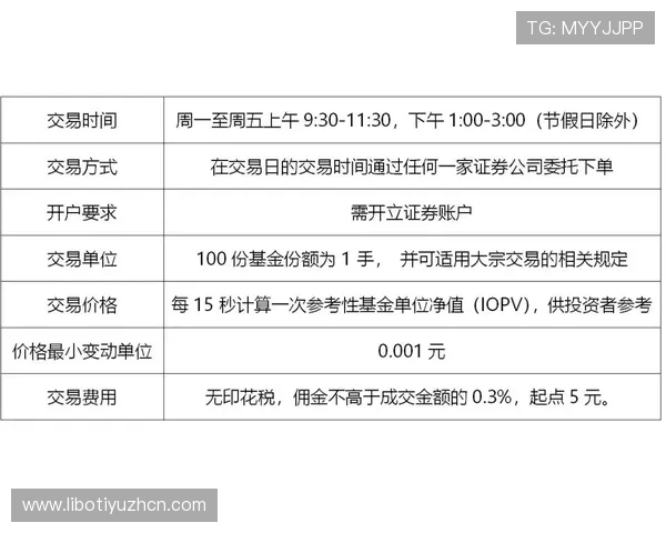 现金买球站：新手必看投注指南与风险控制策略全面讲解